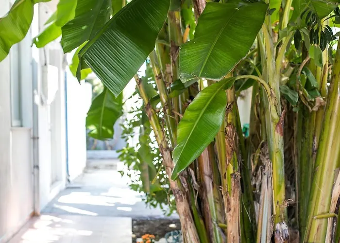 Casaverde Apartament *