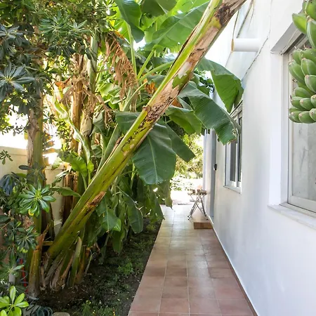 Casaverde Apartment