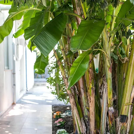 Casaverde Apartamento *