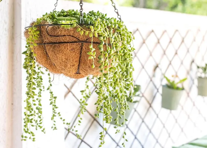 Appartamento Casaverde